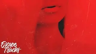 Ye Ali - Lingo