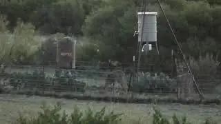 Cottonseed Feeder