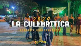 La Culebritica | Conjunto Nuevo Amanecer 2024 / Dj Roman-MIX