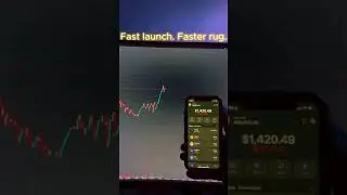 The 8,000% Crash of Solana's Memecoin