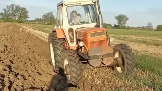 Classic Fiat 1300 DT Perform Ploughing out standing, Unique sound