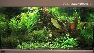 Planted aquariums of Heimtiermesse 2015, Hannover - part 11