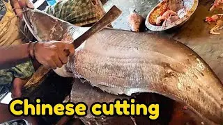 Big Boal chinese cutting ‼️ Super fast fish cutting skill live ‼️ Joy fish cutting