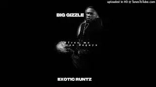 Big Gizzle - Exotic runtz [offcial audio]