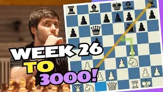 Week 26 to 3000 with Bird's Opening | Special Guest appearance by the Bird Bozo