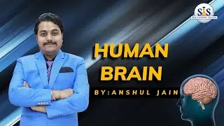 Neural control and co-ordination  part 4 #brainrot #humanbrain #saseducationplaza #education #neet 