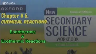 Endothermic & Exothermic Reactions | Energy in Chemical Reactions | APS Class 8 Science