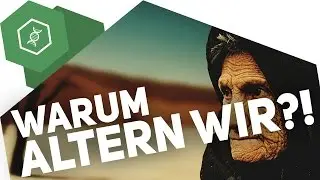 Warum altern wir?!