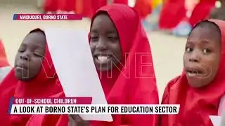Addressing Out-Of-School-Children: A Look At Borno State's Plan For Education Sector