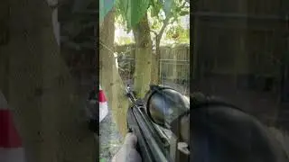 Hatsan 30cal Vortex Pellet Rifle vs 1 inch board at 15 yards
