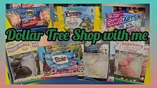 Dollar Tree Shop with me. Zebulon NC. #dollartree 