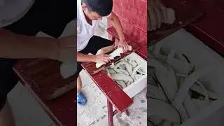 Radish Slicer Challenge! 0.1mm slices