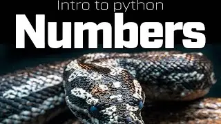 Intro to Python : Working With Numbers P3