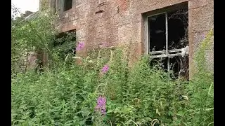 ABANDONED HOUSE AND HORSE STABLES