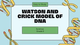 Watson and Crick Model of DNA| Unit. 3 Science grade8 | #science #grade8 #watsonandcrick #education