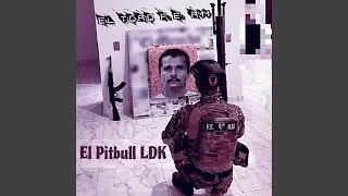 El Toro F. E. R11