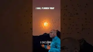 I shall flourish today. #apostlejoshuaselman #koinoniaglobal
