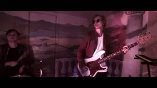 Save the Dolphins - Feeling