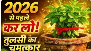 2026 शुरू होने से पहले तुलसी पर बाँध दीजिए यह एक चीज़ | रुका हुआ धन चलने लगेगा | सच्ची लोक-मान्यता