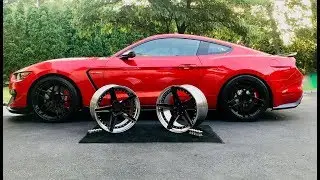 Shelby GT350 