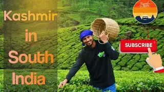 Kashmir in South India| Munnar | Kerala | Punit Zefron | Puneet Pandey