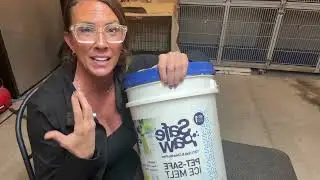 Обзор размораживателя для снега Safe Paw Pet-Safe Ice Melt 🐾 без соли и хлора (ведро 35 фунтов)