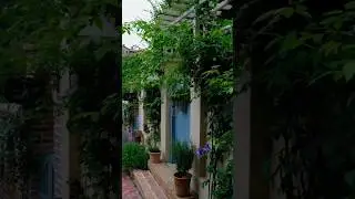 Get Growing 🌸🌿Stunning Outdoor Oasis Decor ideas You'll Love 😲#garden #outdoorgarden #oasis #asmr