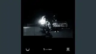 Suomineito