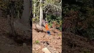zip line fun !! #zipline #outdoorfun #outdoorfunforkids