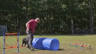 Swift Paws Dog Agility Course Backyard Set Walkthrough