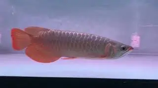 20190701