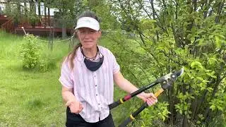 &ldquo;Appropriate Pruning&rdquo; with Becca Martin: how, where, why and when to prune to maintain healthy trees
