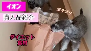 イオン購入品紹介　　ダイエット食品　ナナ夢たちがアシスタント♡