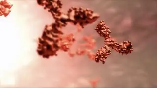 New melanoma immunotherapy research at Ohio State | OSUCCC &ndash;&nbsp;James
