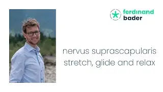 nervus suprascapularis - stretch, glide and relax