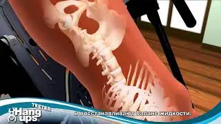 Инверсионный стол Teeter