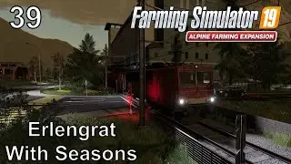 Crops sale & I own a new field! l FS19 Erlengrat with Seasons #39