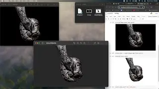 Remove Image Backgrounds Effortlessly with Python! || REMBG || Image Processing || PyGorithm