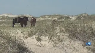 Currituck County rebrands as The Northern Outer Banks