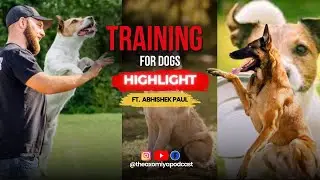 How to train a dog? I Dog behaviour I Training Husky 