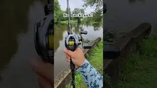 Shimano Curado DC