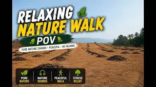 Pure Nature Sounds | Peaceful Walk POV (No Talking)
