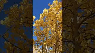 Relaxing Scenic Drive Through Autumn Mountains | Highway 395, California #Highway395  #FallColors