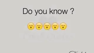 WhatsApp status for crush