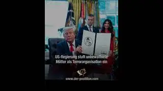 Meme Mix #531
