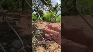 Chain Link Fence Manufacture #chainlinkfenceinstallation #chainlinkfencing #wiremesh #fence #fencing