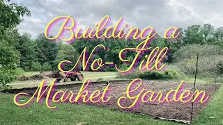 Building a No-Till Market Garden | Birdie & The Bees Farm