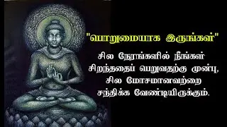 Powerful Buddha Quotes | will change your Life | Tamil Motivational Thoughts | TMT