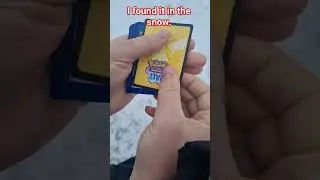 POKEMON #158 found in the snow