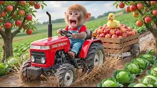 OH NO! Baby Monkey&rsquo;s Tractor &ldquo;Brake Failure&rdquo; Down the Hill 😱🚜🐒